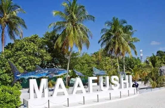 Guesthouse Business Plan for Maafushi