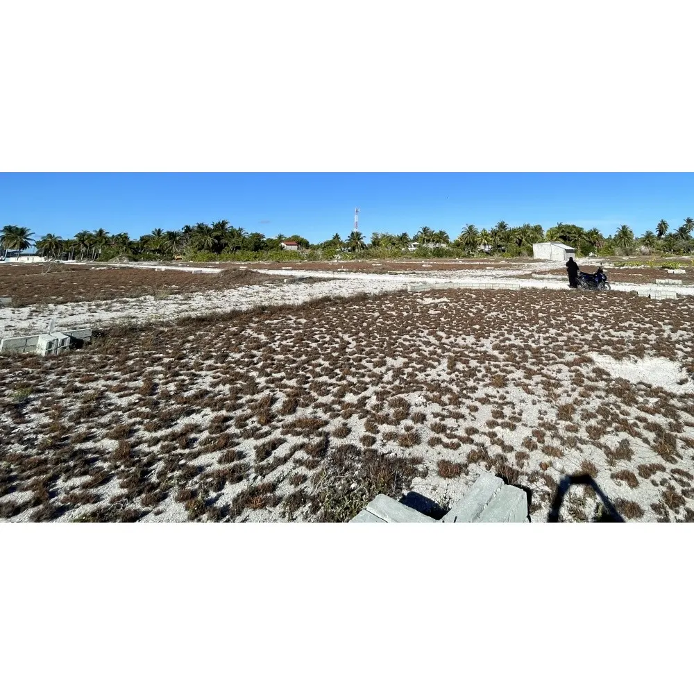 Corner-Plot-for-Sale-in-Feydhoo-Addu-City-Maldives-investments
