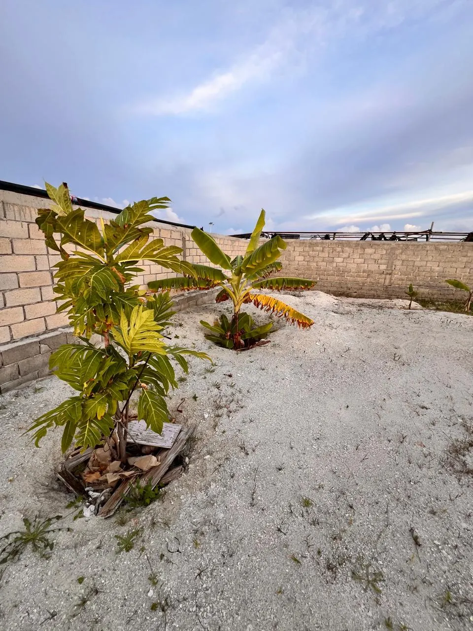 Maafushi-Land For sale