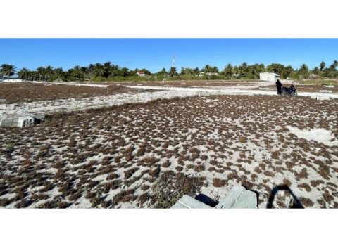 Corner-Plot-for-Sale-in-Feydhoo-Addu-City-Maldives-investments