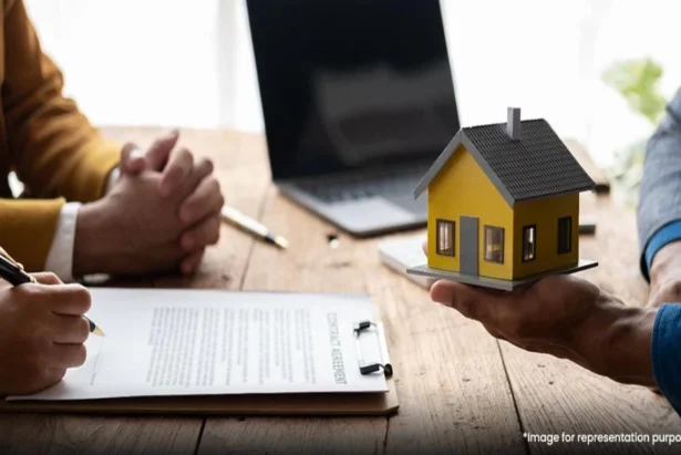 Maldives Real Estate Guide