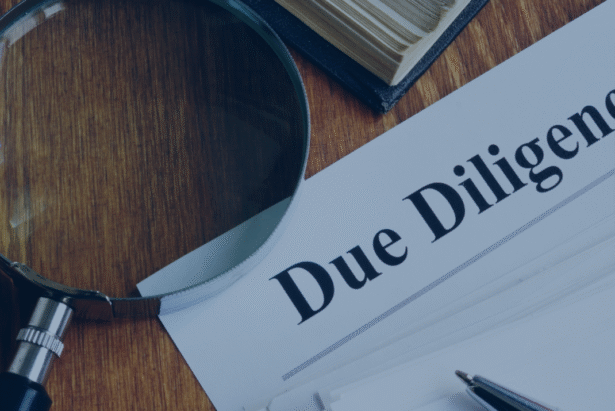 Conduct Due Diligence on a Maldivian Developer