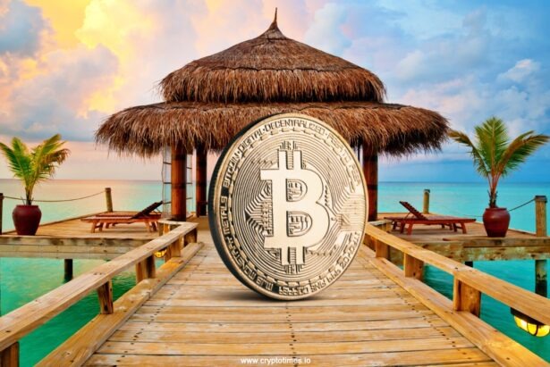 Buy Property in the Maldives with Bitcoin or USDT