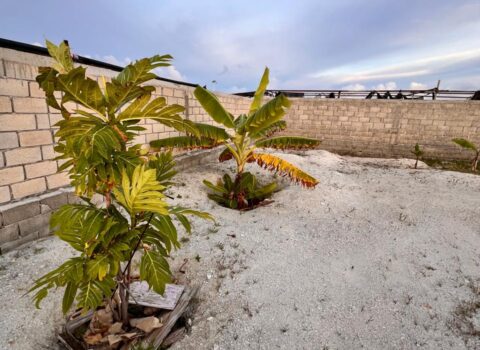 Maafushi-Land For sale